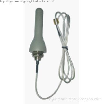 Hot Sale 2dBi 3G Antenna With SMA Male Connector
